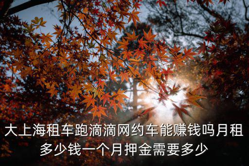 大上海租車跑滴滴網約車能賺錢嗎月租多少錢一個月押金需要多少