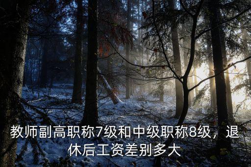 杭州高級教師7級工資多少,中小學(xué)正高級教師