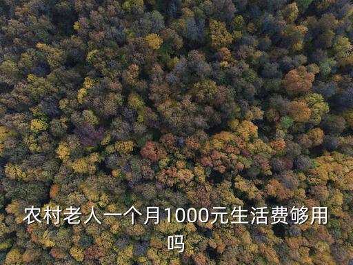 農村老人一個月1000元生活費夠用嗎
