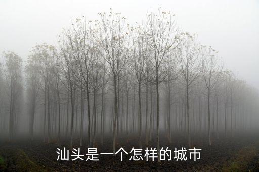 汕頭市城市面積是多少,汕頭是幾線城市
