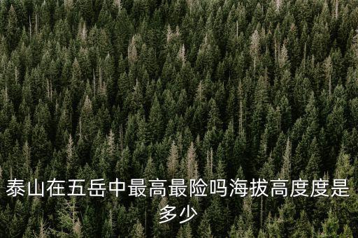 山東泰山海拔高度爬上去多少里,泰山海拔多少米