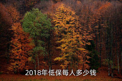 2017嘉興低保每月多少,2018年低保每人多少錢