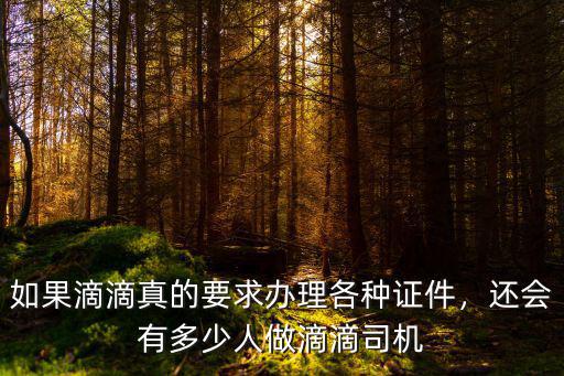 嘉興市的滴滴司機有多少人,為什么打車的人不見少