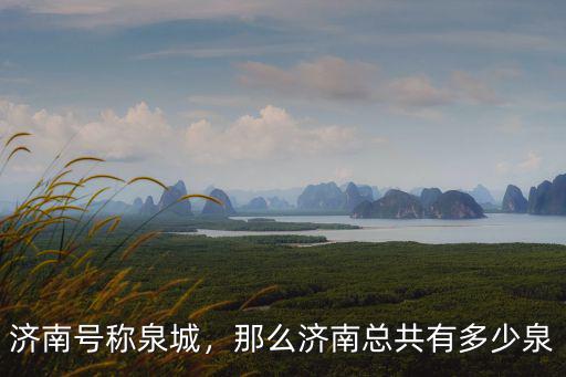 濟南一共有多少個泉,那么濟南總共有多少泉
