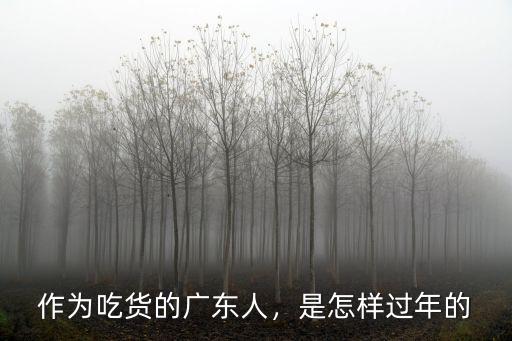 潮汕人去廣東怎么過年,為什么廣東潮汕過年人氣很旺