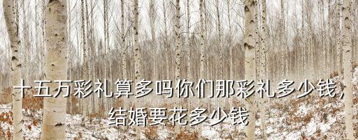 和深圳女孩結婚要多少彩禮,在廣東農村結婚要多少錢