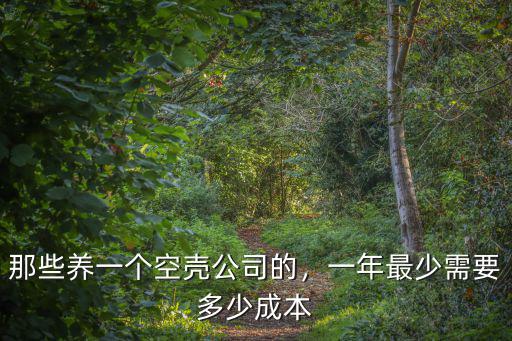 青島空殼公司代理記賬一般多少錢,那些養一個空殼公司的