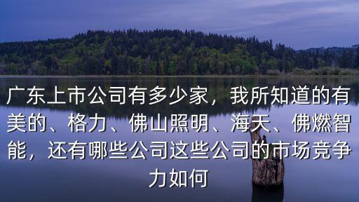 廣東上市公司有多少,廣東上市公司有多少家