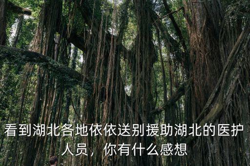 東營支援湖北醫護人員多少人,支援湖北的醫護人員有多少