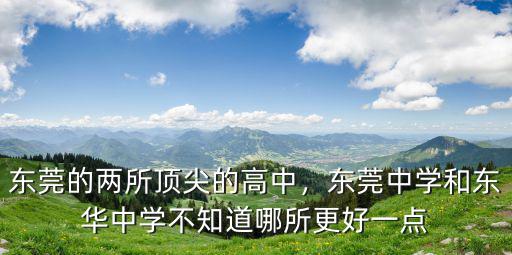 東莞的兩所頂尖的高中，東莞中學和東華中學不知道哪所更好一點