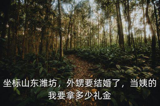 坐標山東濰坊，外甥要結婚了，當姨的我要拿多少禮金