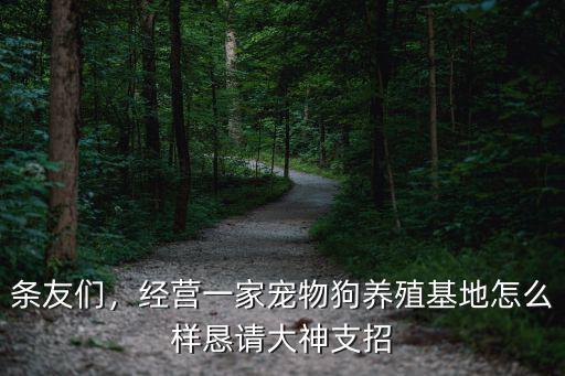 廣東省貓狗繁殖基地的狗怎么樣,做寵物狗繁殖的生意