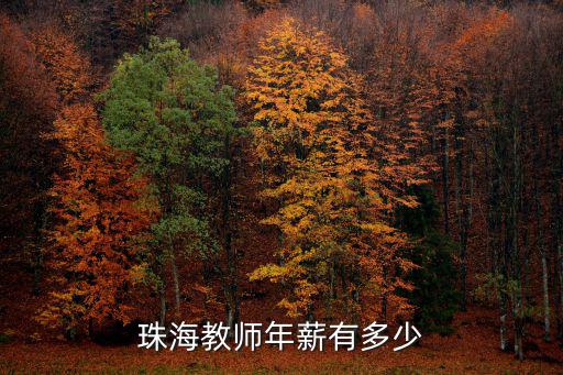 珠海華德福老師工資多少,珠海教師年薪有多少