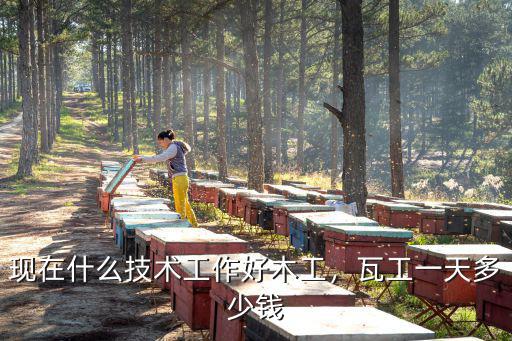 廣東東莞瓦工一天多少錢,瓦工一天多少錢