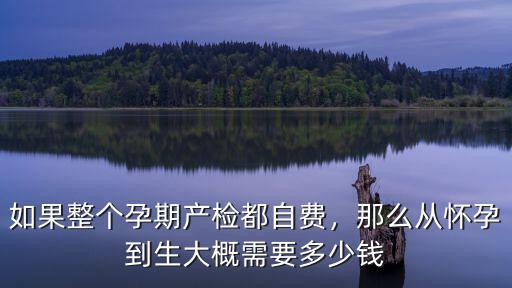 杭州孕檢自費(fèi)多少錢,全自費(fèi)一個(gè)孕期