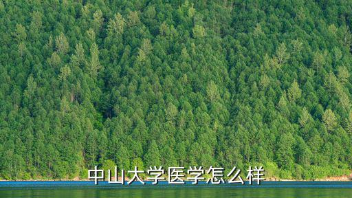 中山大學(xué)醫(yī)學(xué)怎么樣
