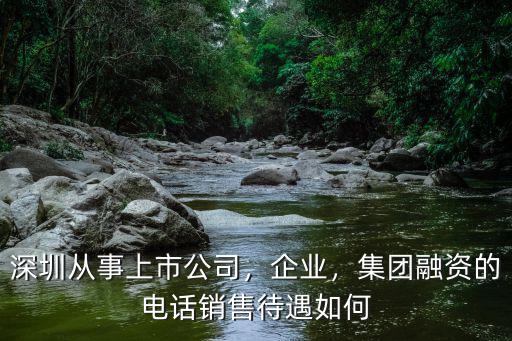 深圳資本集團的職工年薪大約多少,深圳真實的平均工資是多少