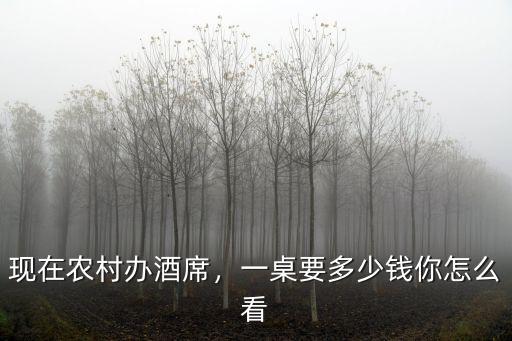 現在農村辦酒席，一桌要多少錢你怎么看