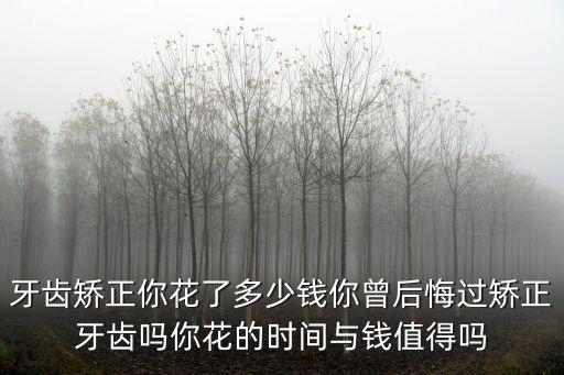 牙齒矯正你花了多少錢你曾后悔過矯正牙齒嗎你花的時間與錢值得嗎