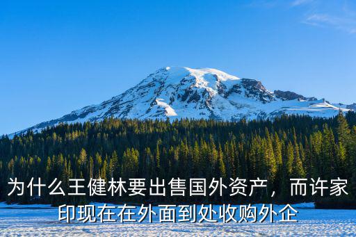 為什么王健林要出售國外資產，而許家印現在在外面到處收購外企