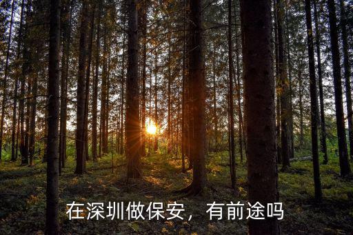 深圳富士康做保安怎么樣,在深圳做保安