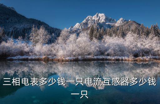 浙江工業用三相電表多少錢,三相電表多少錢一只