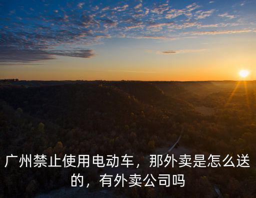 廣州禁止使用電動車，那外賣是怎么送的，有外賣公司嗎
