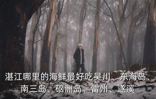 湛江哪里的干海魚好吃,湛江哪里的海鮮最好吃