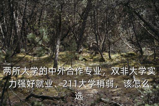 兩所大學的中外合作專業，雙非大學實力強好就業、211大學稍弱，該怎么選
