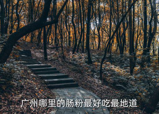 廣州哪里的腸粉最好吃最地道
