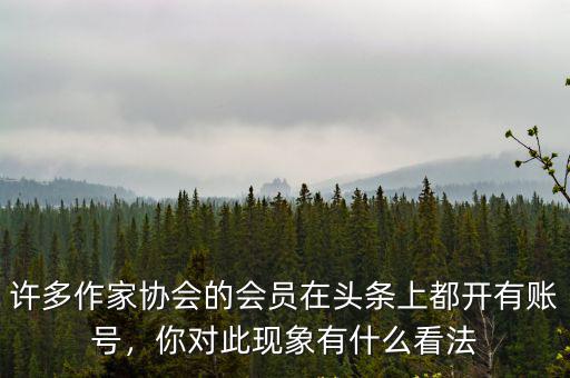 許多作家協會的會員在頭條上都開有賬號，你對此現象有什么看法