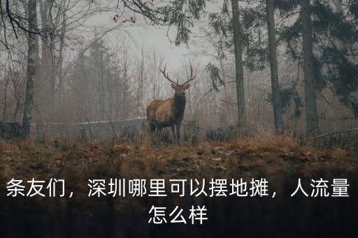 條友們，深圳哪里可以擺地攤，人流量怎么樣