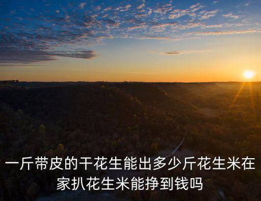 一斤帶皮的干花生能出多少斤花生米在家扒花生米能掙到錢嗎