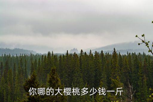 你哪的大櫻桃多少錢一斤
