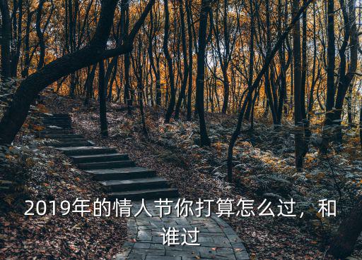 2019年的情人節你打算怎么過，和誰過