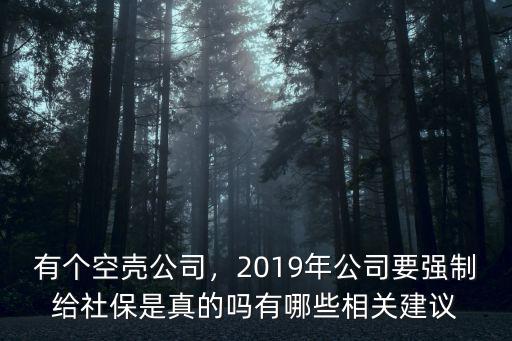 有個空殼公司，2019年公司要強制給社保是真的嗎有哪些相關建議