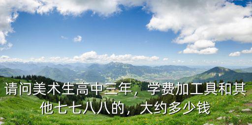 請(qǐng)問(wèn)美術(shù)生高中三年，學(xué)費(fèi)加工具和其他七七八八的，大約多少錢(qián)