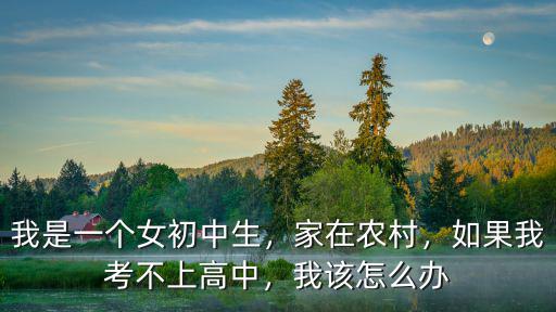在惠州考不上高中怎么辦,如果我考不上高中