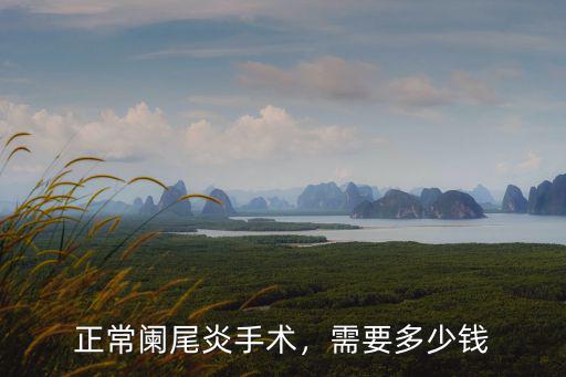 煙臺山醫院做闌尾炎手術多少錢,正常闌尾炎手術