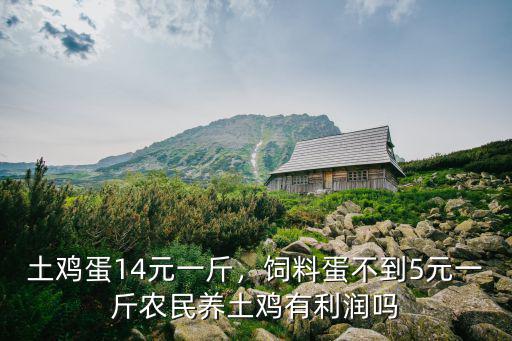 土雞蛋14元一斤，飼料蛋不到5元一斤農民養(yǎng)土雞有利潤嗎