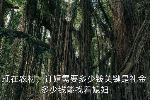 現(xiàn)在農(nóng)村，訂婚需要多少錢關(guān)鍵是禮金多少錢能找著媳婦