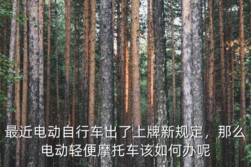 最近電動自行車出了上牌新規(guī)定，那么電動輕便摩托車該如何辦呢