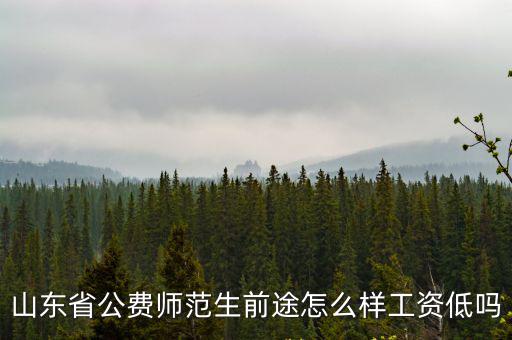山東省公費師范生前途怎么樣工資低嗎