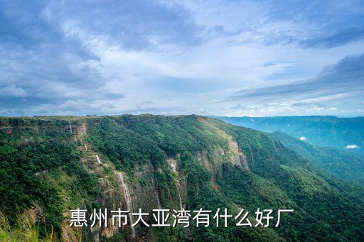 惠州大亞灣哪里有賣(mài)東北熏雞,惠州市大亞灣有什么好廠
