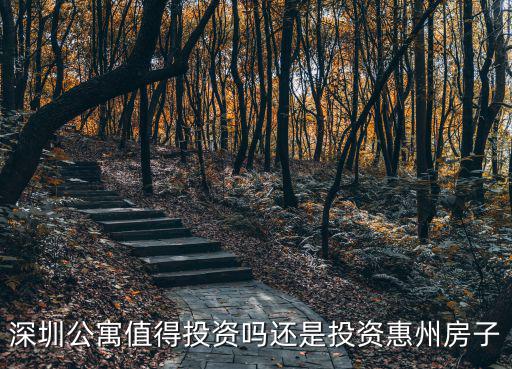 深圳公寓值得投資嗎還是投資惠州房子