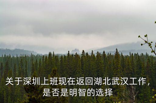 有多少人回武漢又想回深圳的,本人從深圳回武漢
