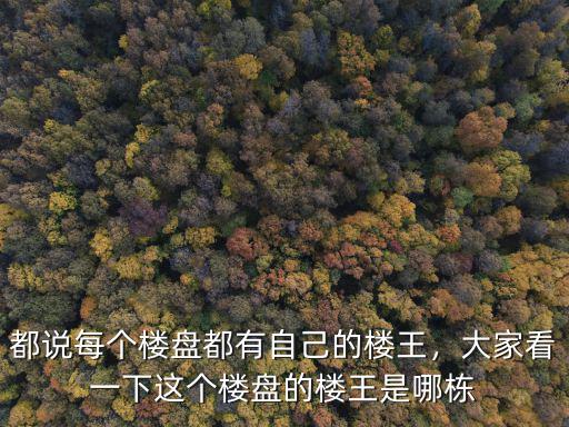 都說每個樓盤都有自己的樓王，大家看一下這個樓盤的樓王是哪棟