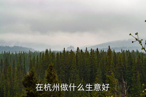 在杭州做什么生意好