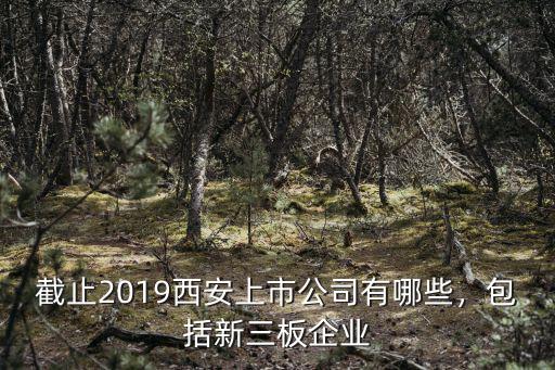 新三板浙江企業多少家,為何好多公司跑去新三板上市