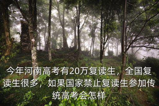 今年浙江高考復讀生多少,今年河南高考有20萬復讀生